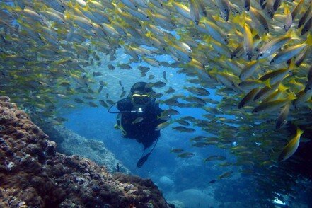 phuket-scuba-diving-131.jpg